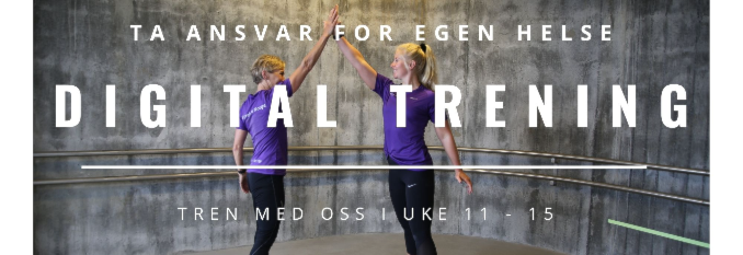 DIGITALE GRUPPETIMER FRA UKE 11-15